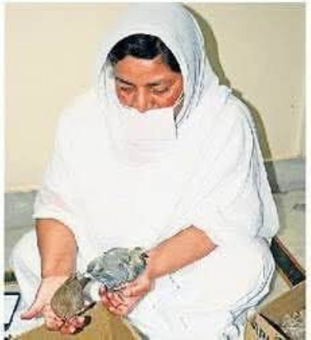 जीवो मंगलम जहां टूटे पंखों को फिर मिलती है उड़ान